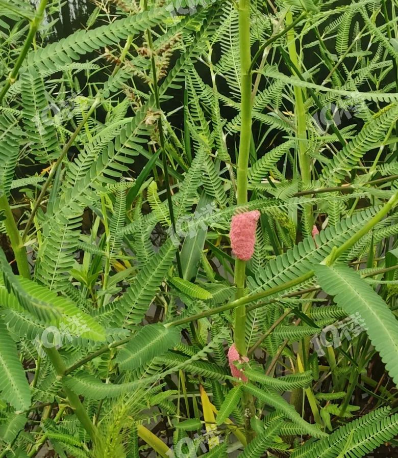 昆明广播电视台