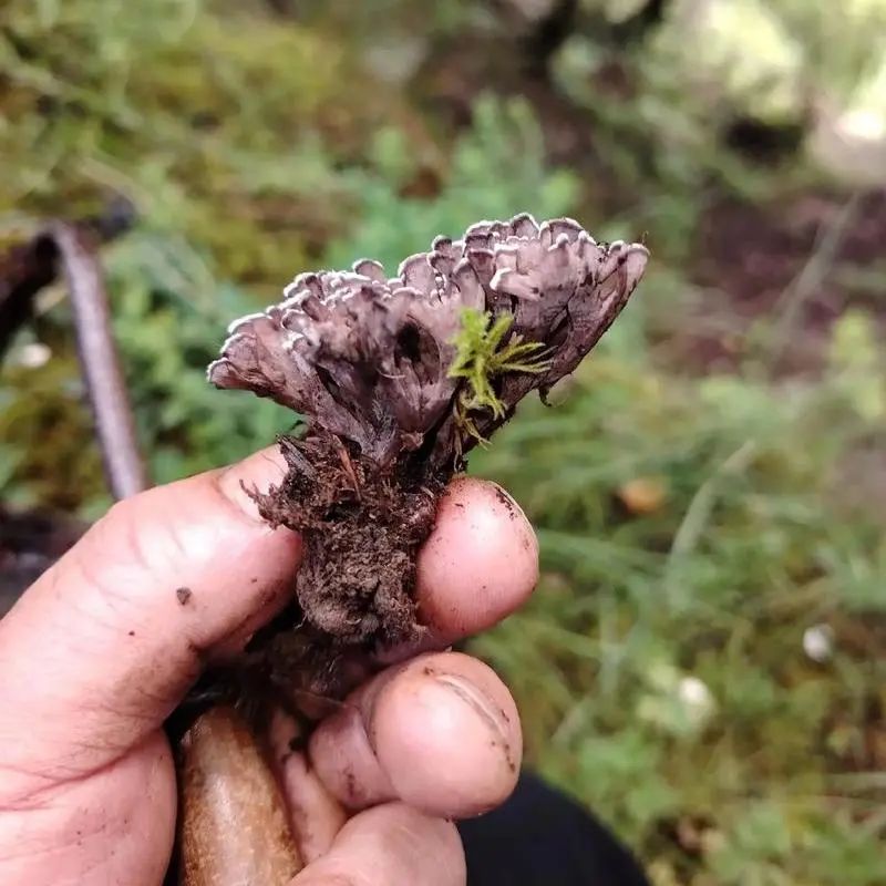 昆明市中医医院