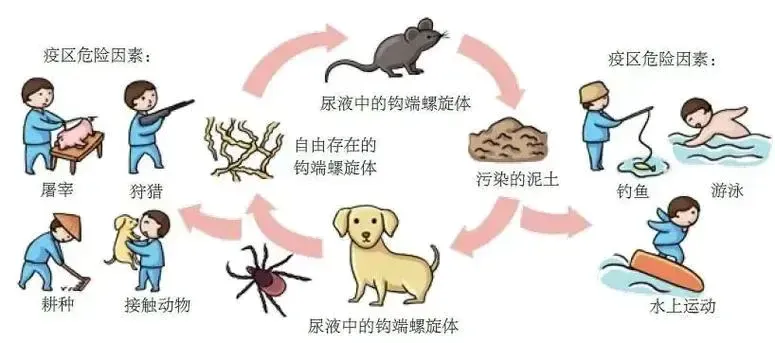 昆明阳宗海风景名胜区