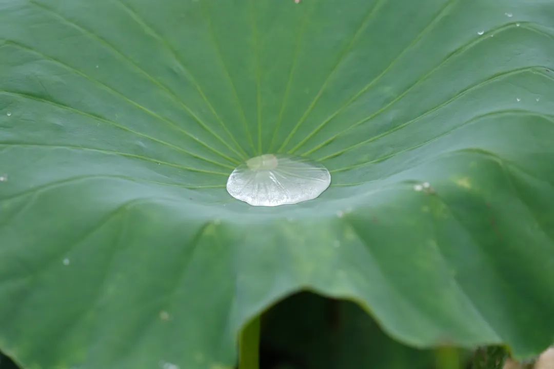 晋宁 诗意的栖居地