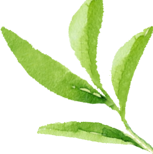 昆明市公共就业和人才服务中心