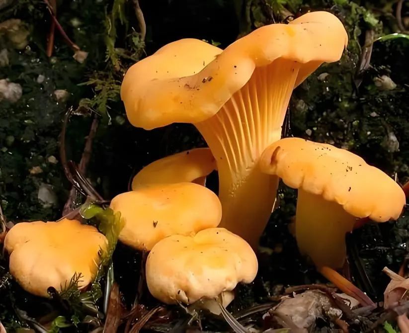 昆明市中医医院