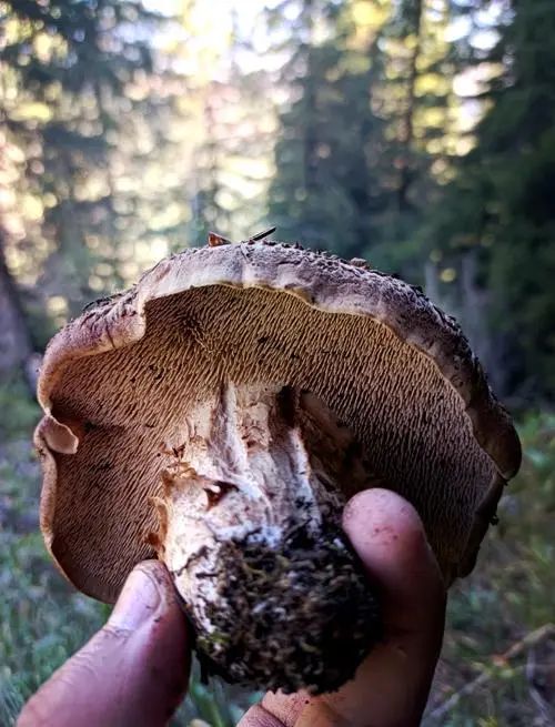 昆明市中医医院