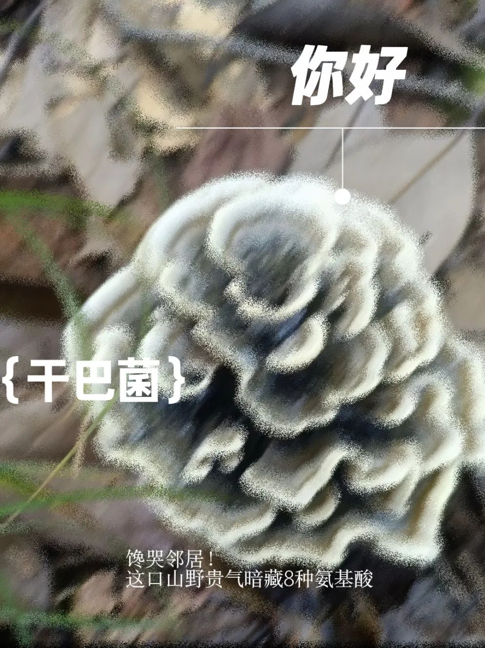 昆明市中医医院