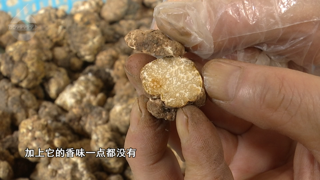 8099999街头巷尾微信