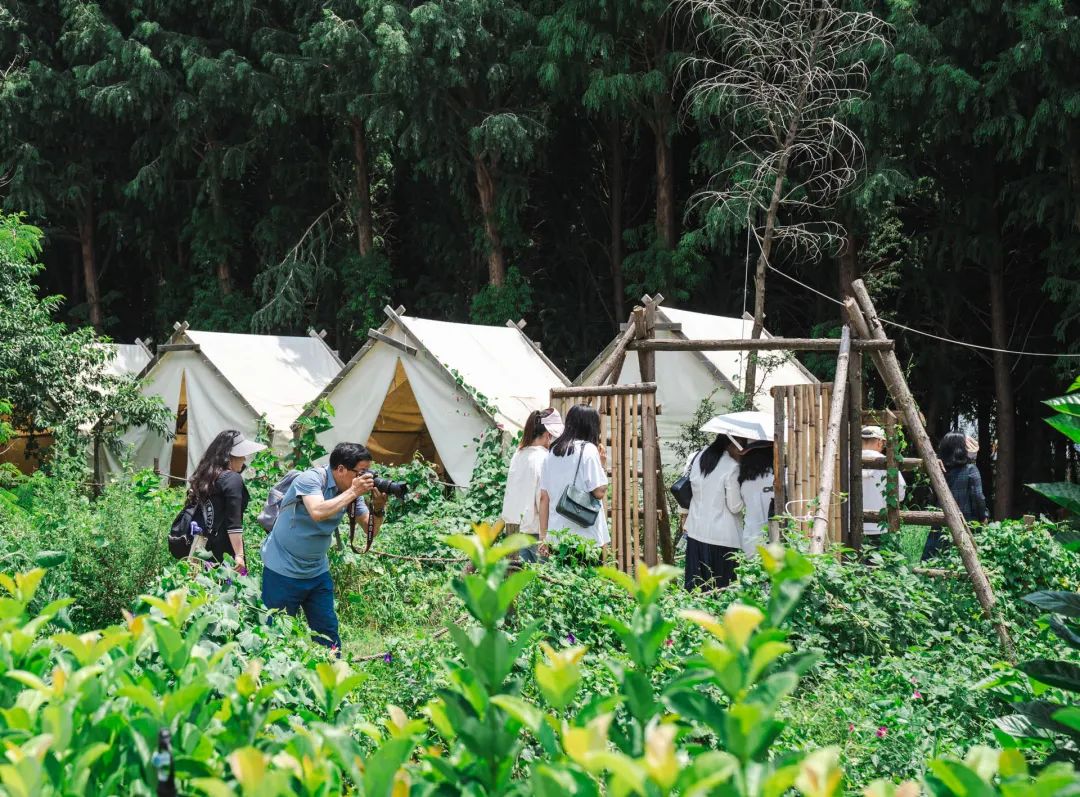 晋宁 诗意的栖居地