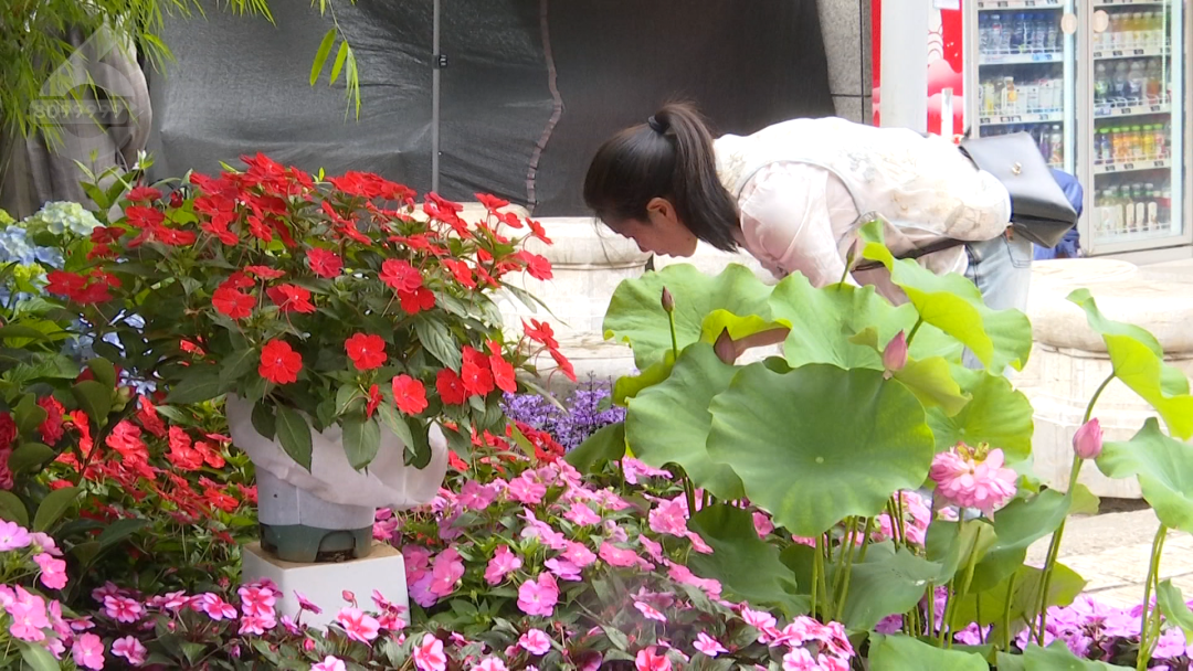 8099999街头巷尾微信