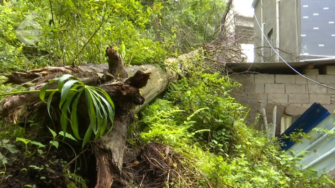 8099999街头巷尾微信