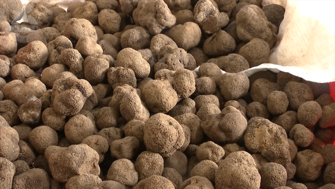 8099999街头巷尾微信