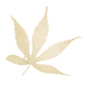 云南省中医医院