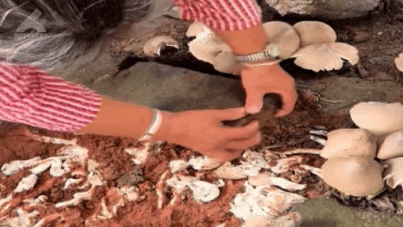 8099999街头巷尾微信