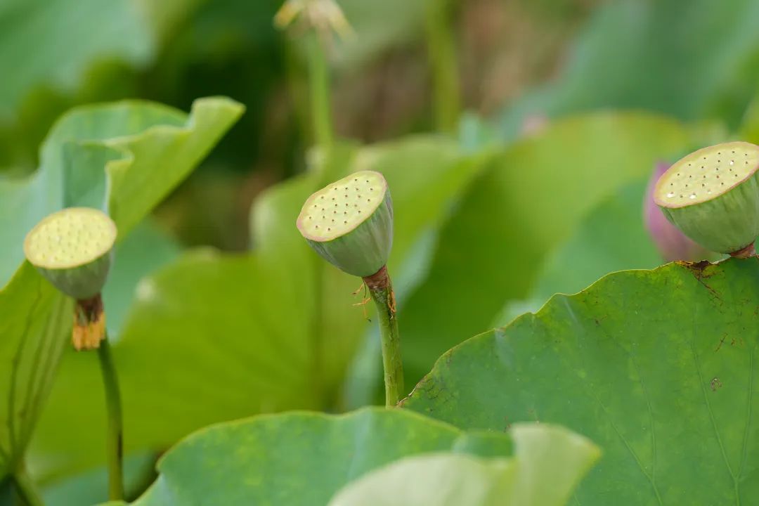 晋宁 诗意的栖居地