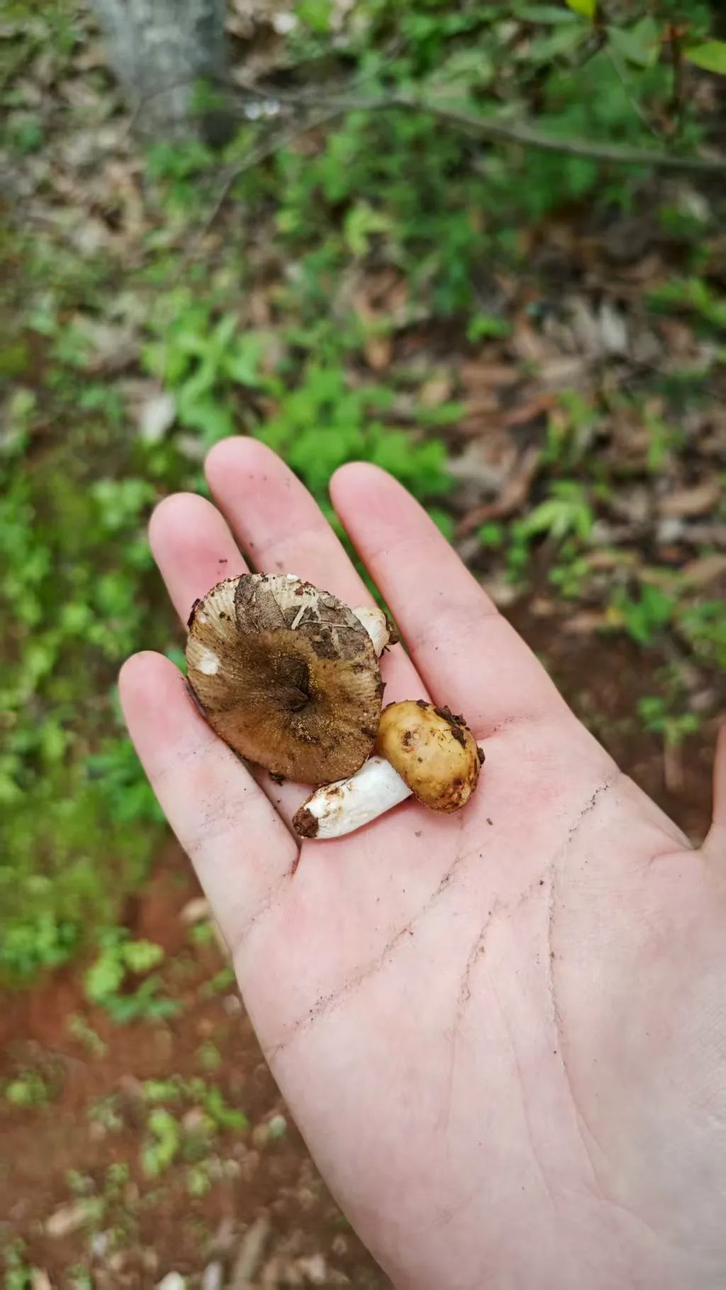 8099999街头巷尾微信