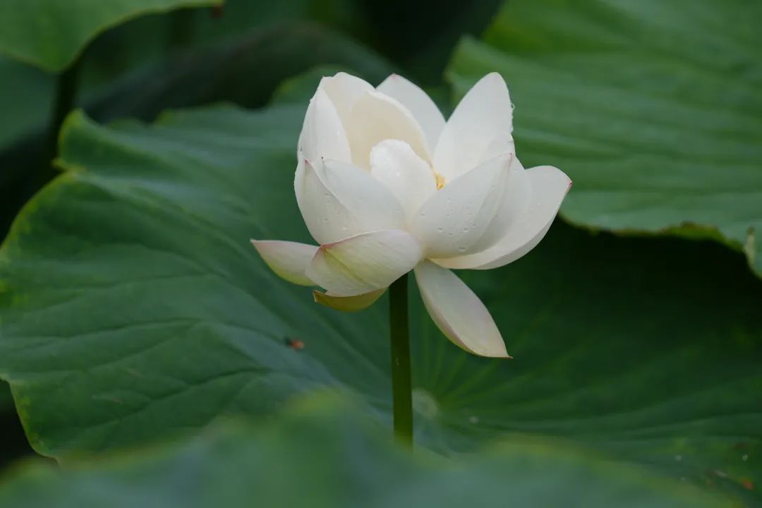 晋宁 诗意的栖居地