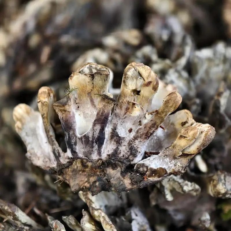 昆明市中医医院