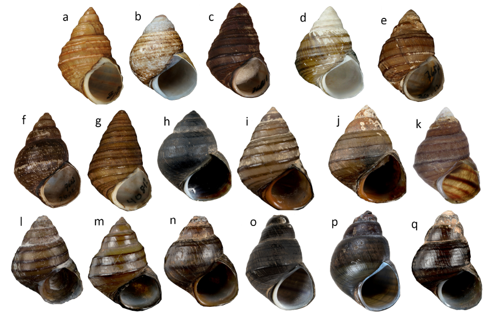 美丽云南微科普