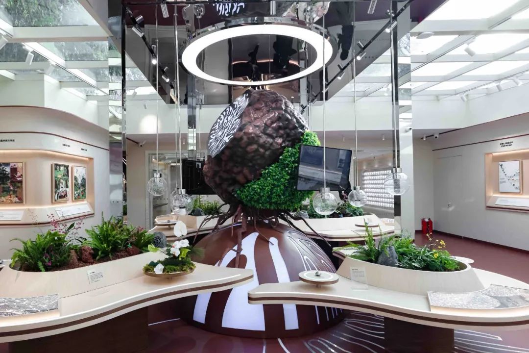 云南省人民政府