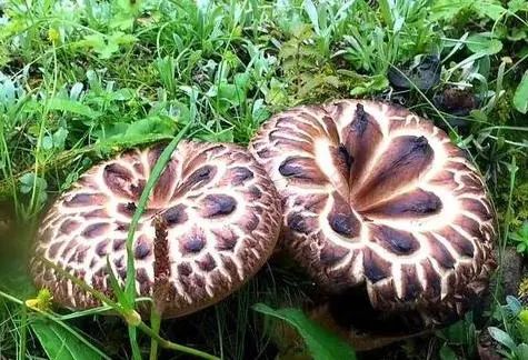 昆明市中医医院