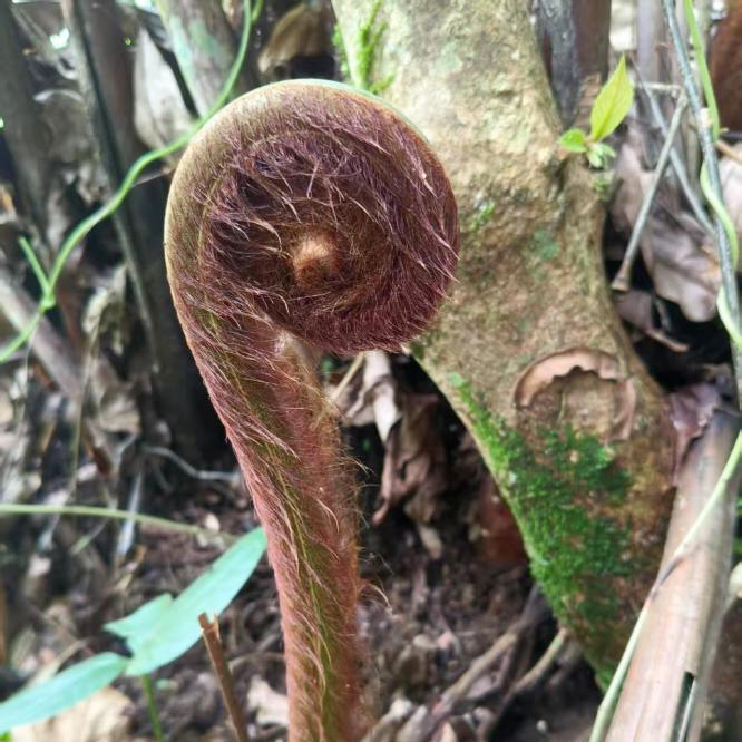 昆明广播电视台经济生活频道