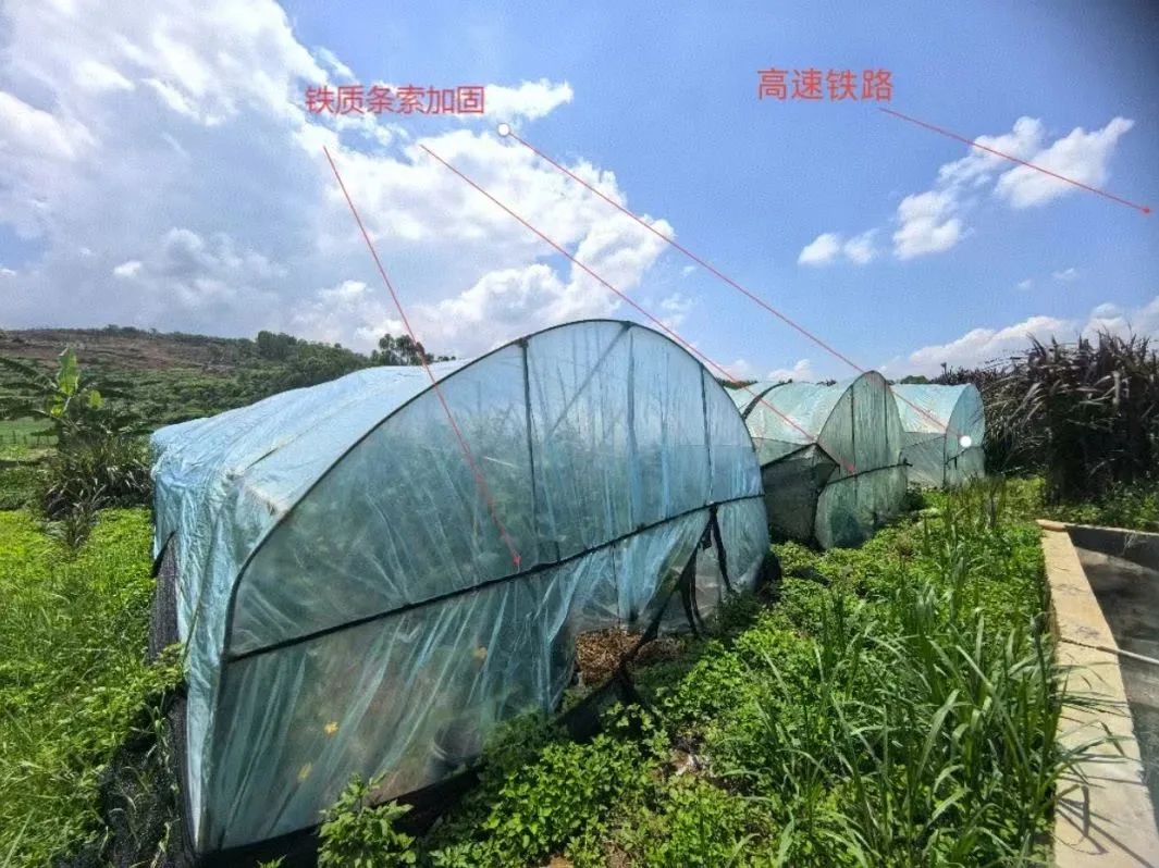 云南省人民检察院