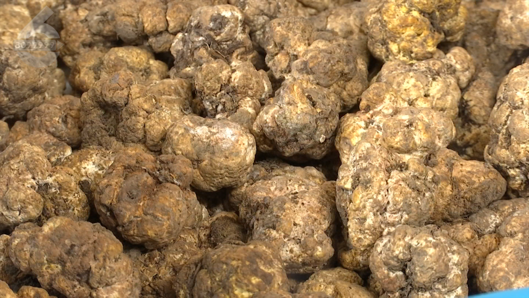 8099999街头巷尾微信