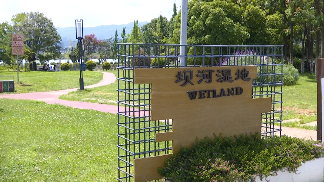 8099999街头巷尾微信