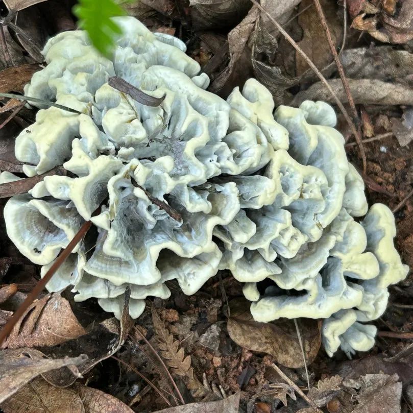 昆明市中医医院