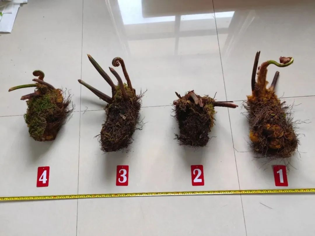 昆明广播电视台经济生活频道