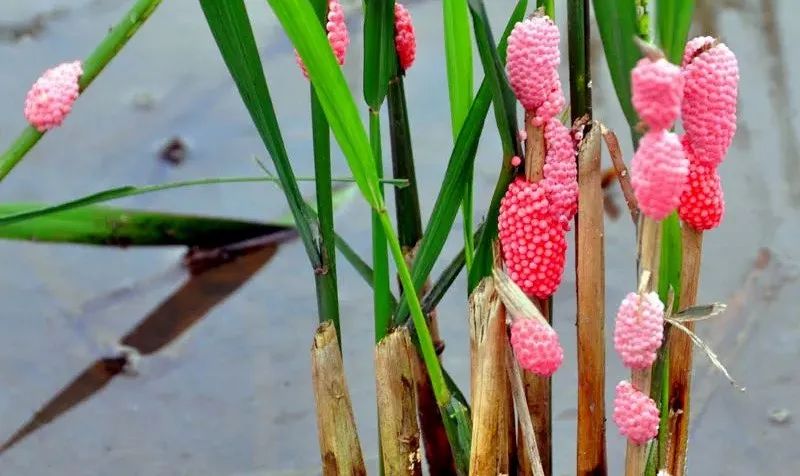 昆明广播电视台