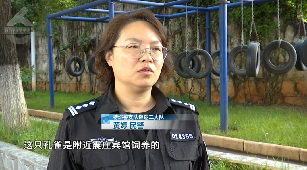 8099999街头巷尾微信