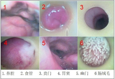 普洱市人民医院