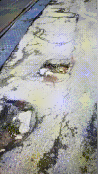 8099999街头巷尾微信