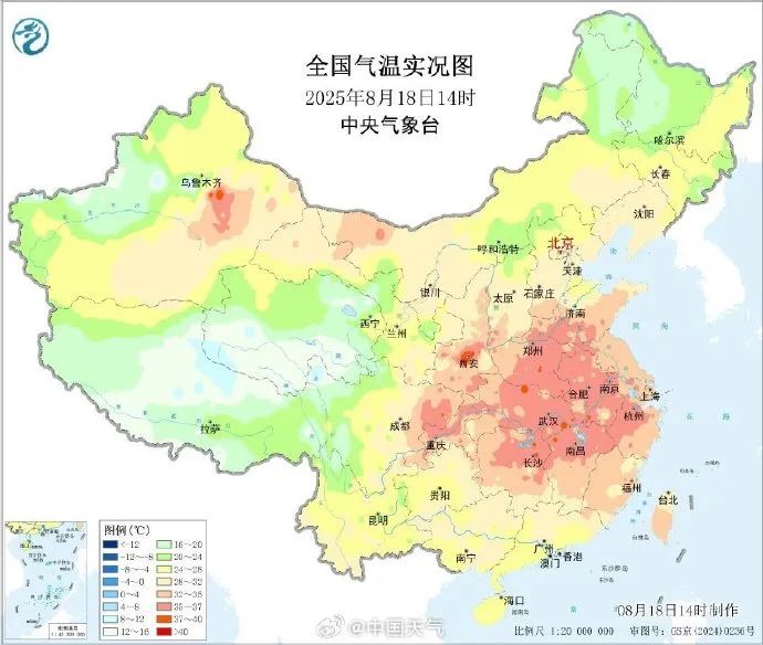 8099999街头巷尾微信