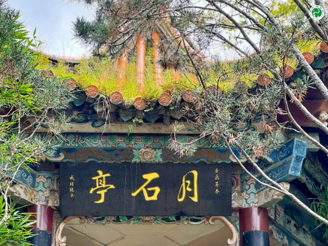 昆明动物园