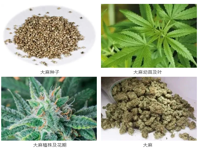 8099999街头巷尾微信