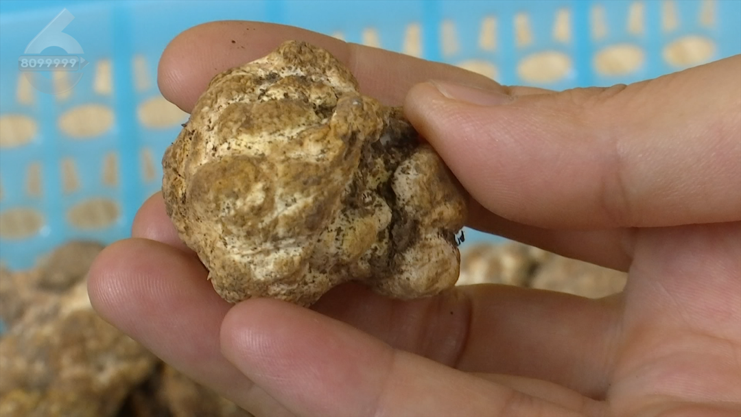 8099999街头巷尾微信