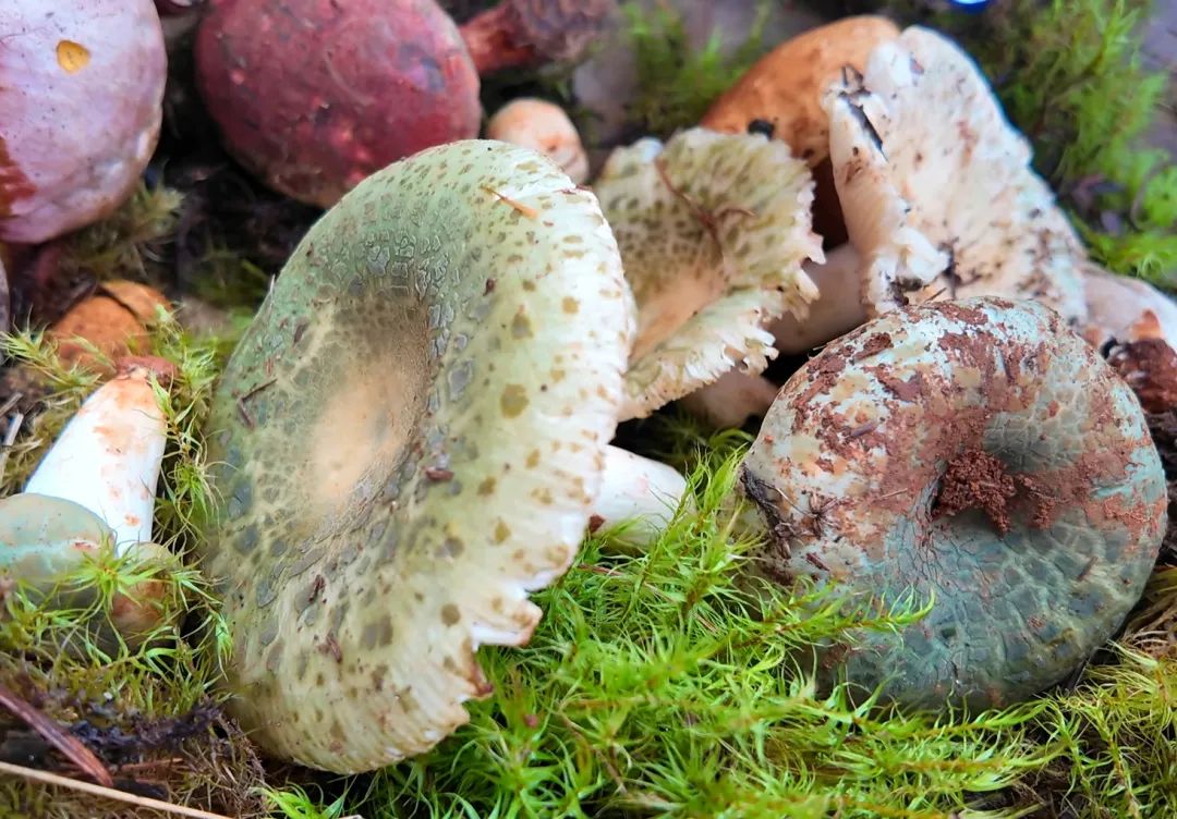 晋宁 诗意的栖居地