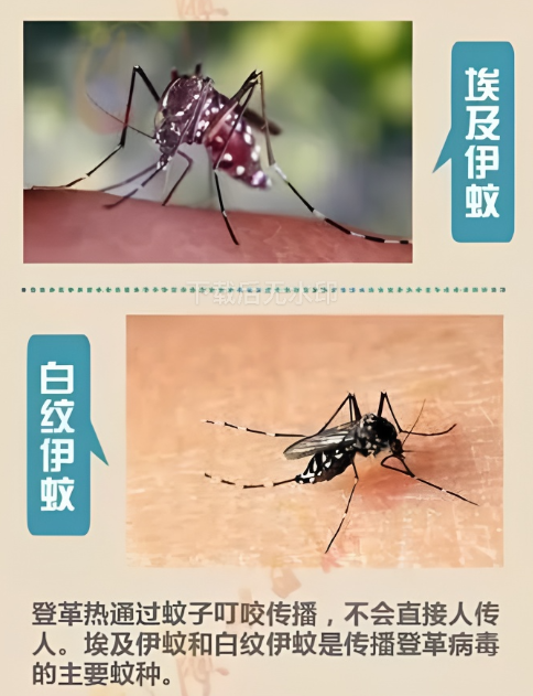 昆明市儿童医院