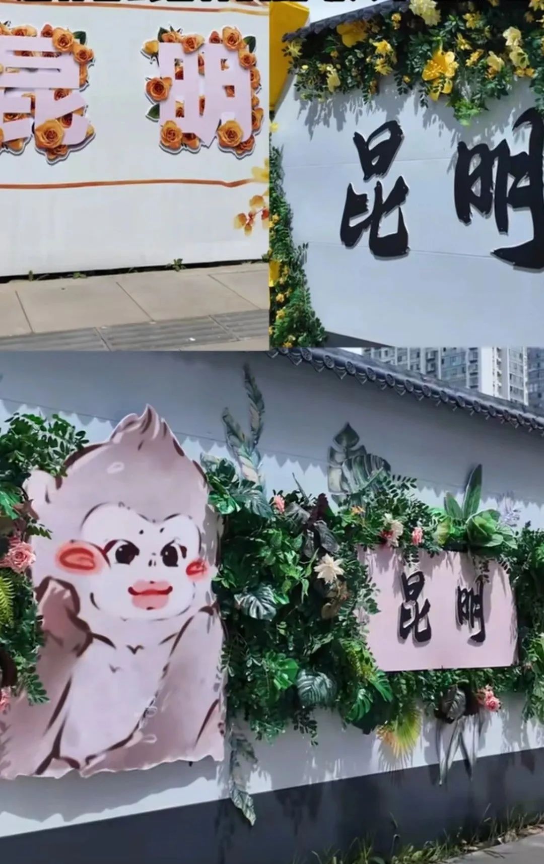 8099999街头巷尾微信