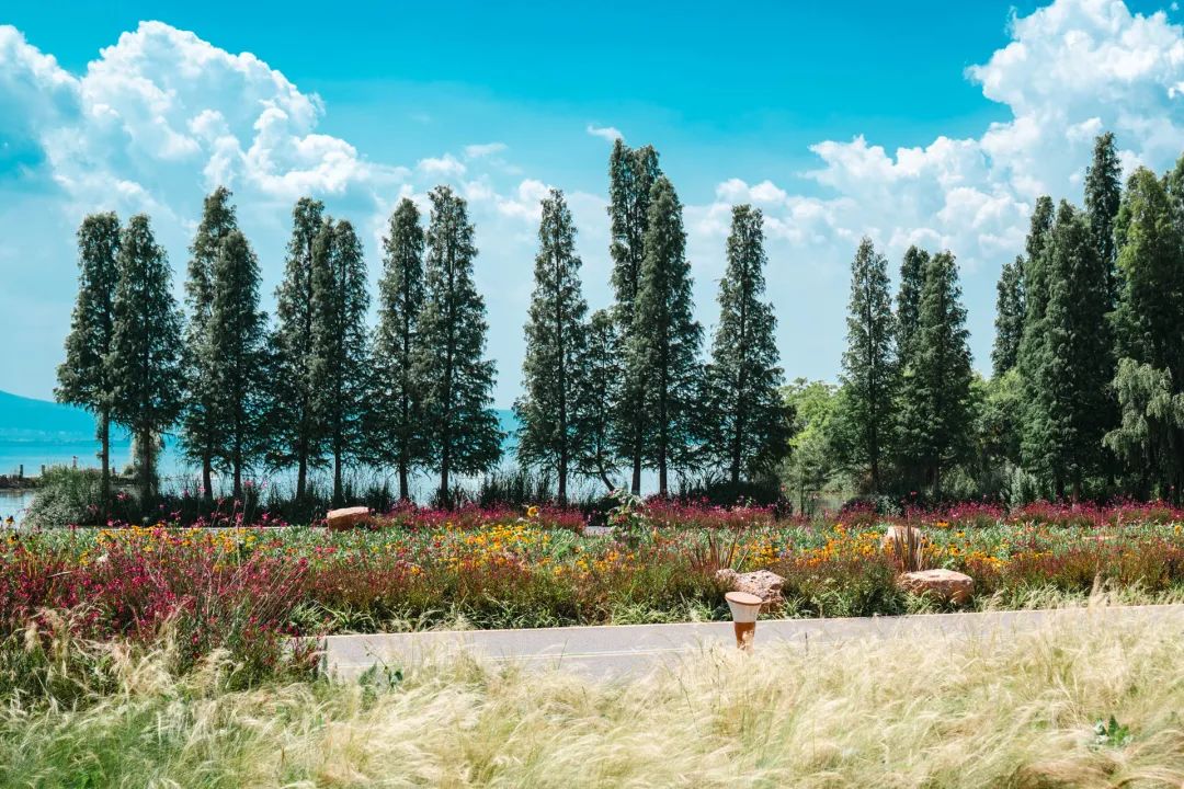 晋宁 诗意的栖居地