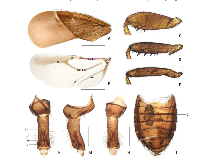 美丽云南微科普