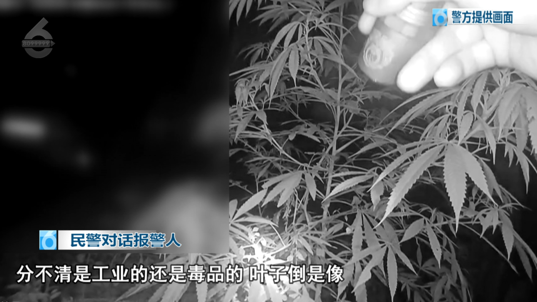 8099999街头巷尾微信