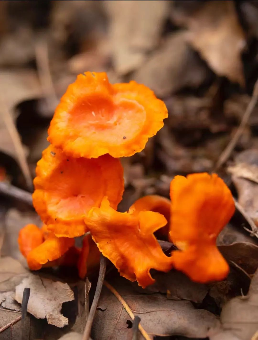 昆明市中医医院
