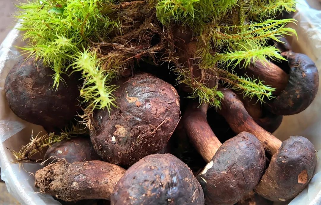 晋宁 诗意的栖居地