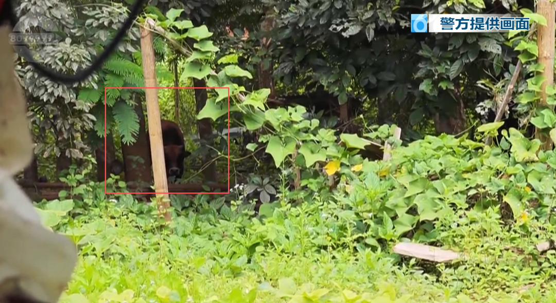 8099999街头巷尾微信