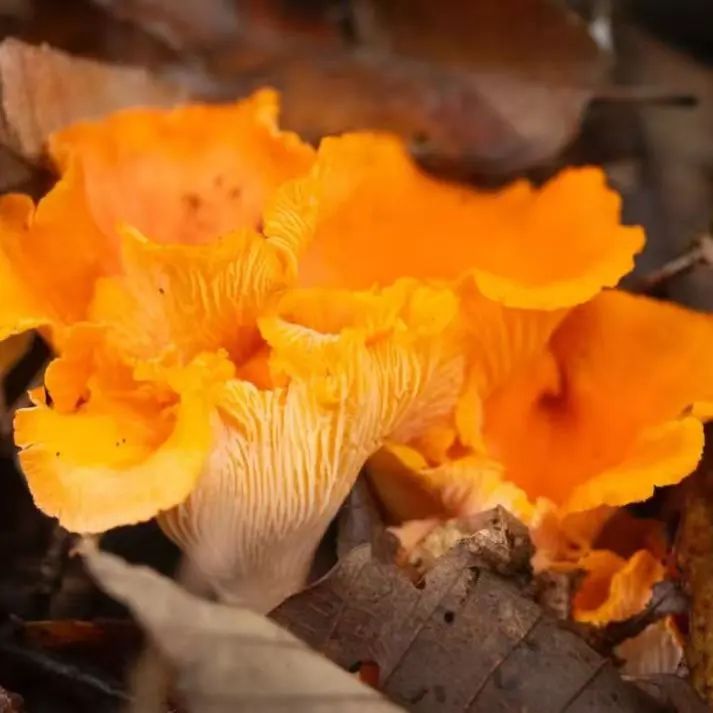 昆明市中医医院