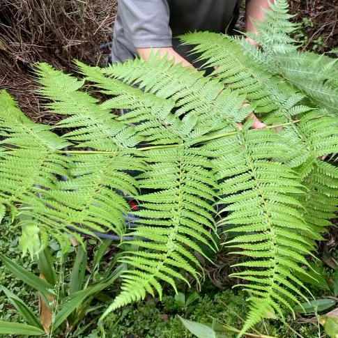 昆明广播电视台经济生活频道