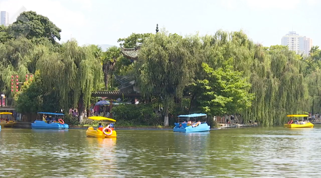 8099999街头巷尾微信