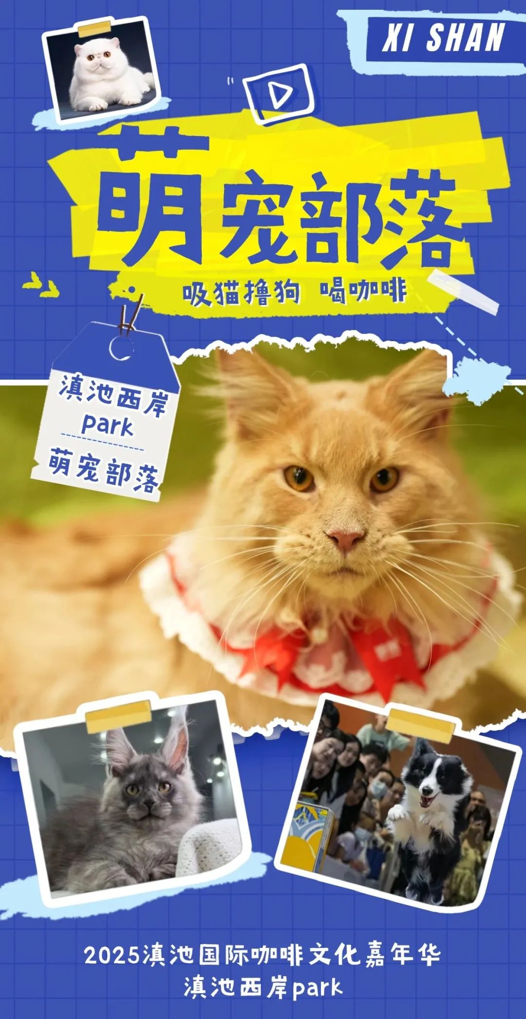 8099999街头巷尾微信