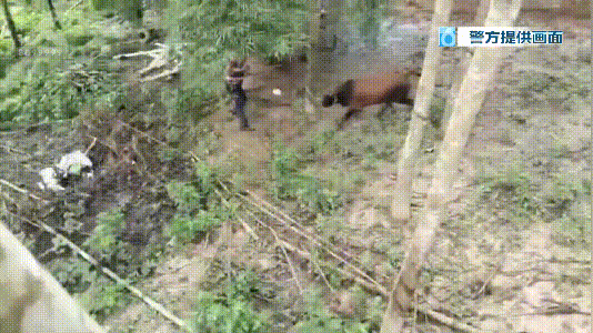 8099999街头巷尾微信